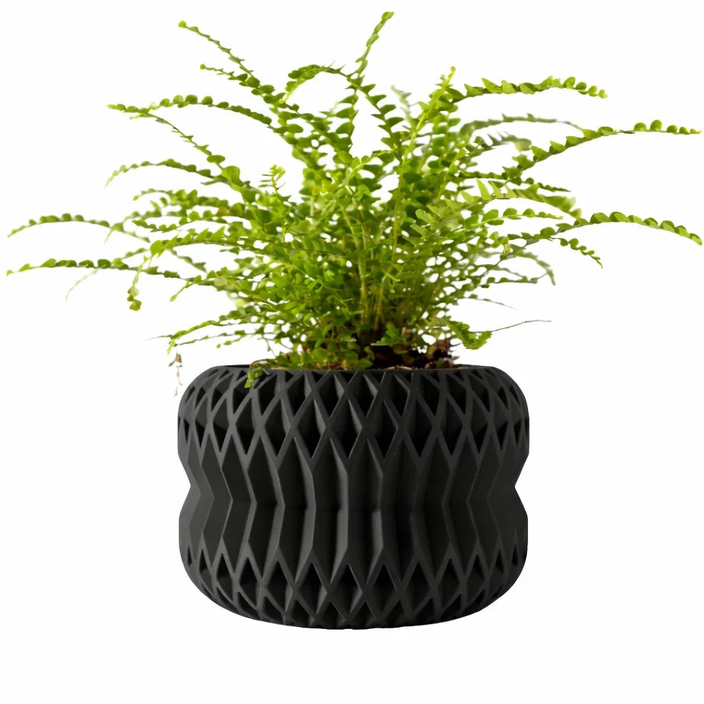 Biodegradable 3D Printed Plant Pot for Home Decor