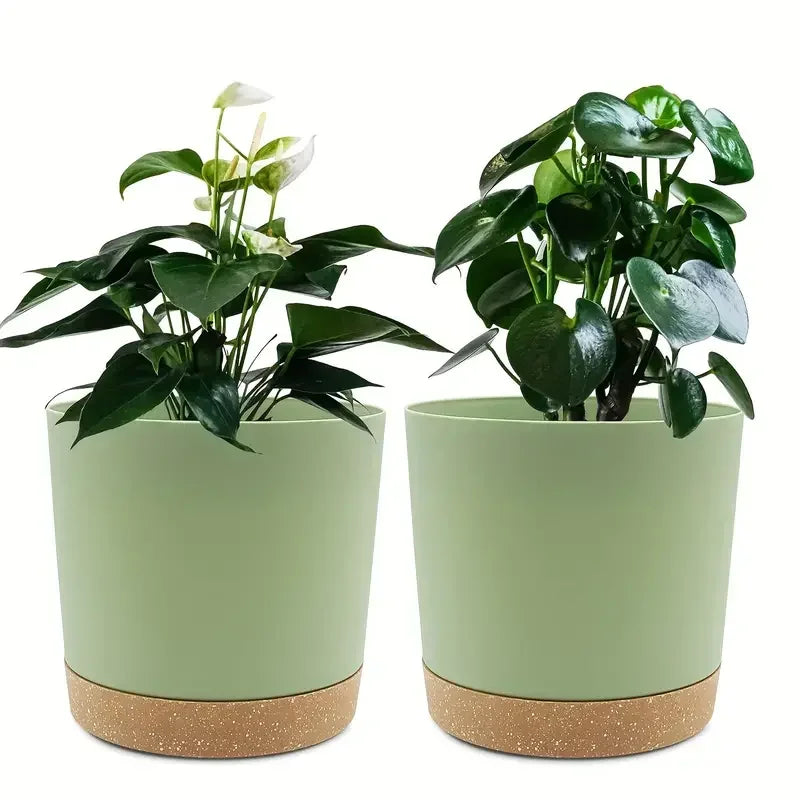 Indoor Plastic Planters with Drainage Holes and Saucer
