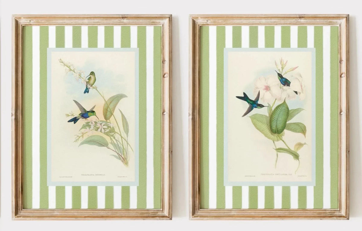 Retro Hummingbird Canvas Prints for Home Decor